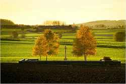 Croenart Chapel Cemetery 