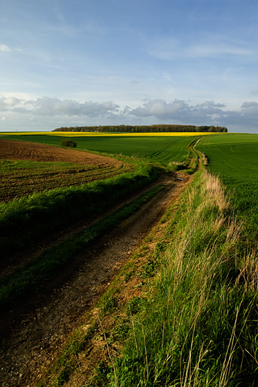 Somme - High Wood