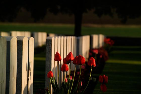 Somme  - Guillemont Road CWGC.