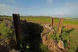 Somme - 'The Pope's Nose'