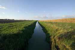 AUBERS & FROMELLES