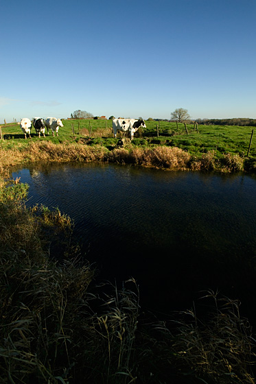 Bois de La Hutte