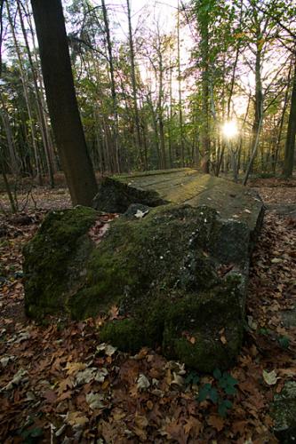 Polygon Wood - Ypres