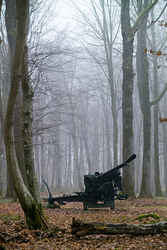 Belleau Wood