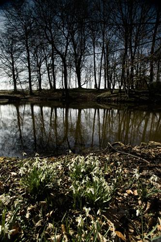 Hooghe Crater - Ypres