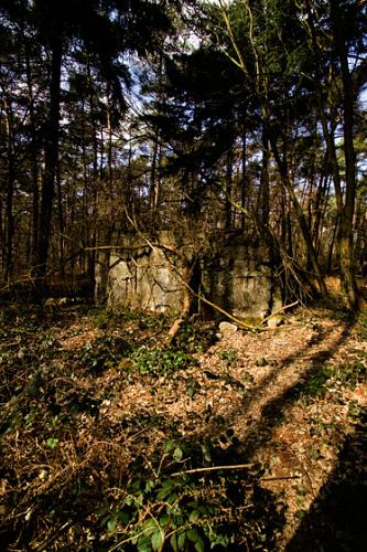 Polygon Wood -Ypres