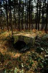 Polygon Wood -Ypres