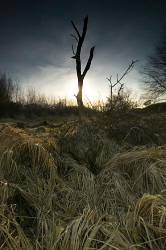 Hill 60 - Ypres