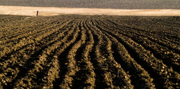 Douchy Farm - Ypres