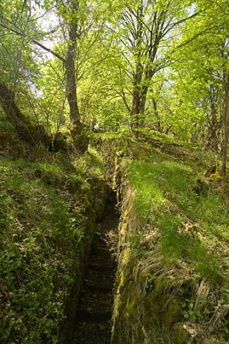 Hartmannswillerkopf