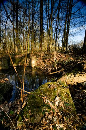 Shrewsbury Forest - Ypres