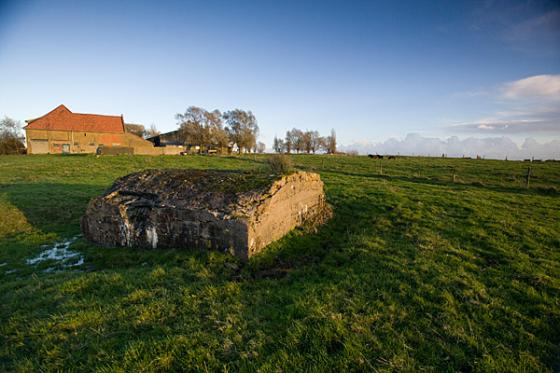 Messines