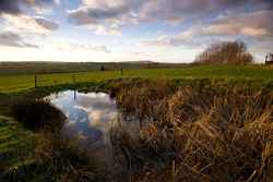 Messines