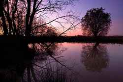 Passchendaele - Springfield Bunker