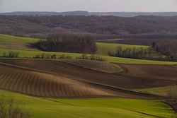 Chemin des Dames