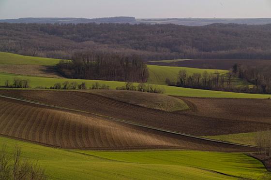 Chemin des Dames