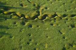 Somme - Newfoundland Memorial Park 