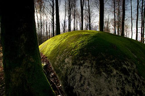 French Artillery Bunker