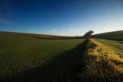 "Long Max" gun emplacement - Semide.