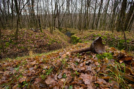 Foret d'Apremont