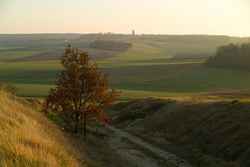 National Monument to the Victories of the Marne at Mondemont.