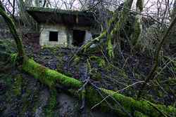 Germans Bunkers near Ripmont