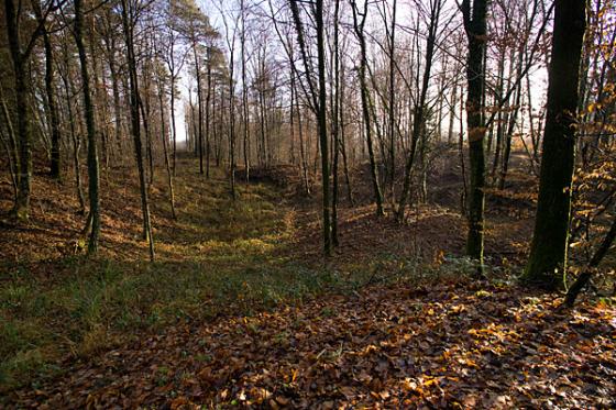 Haut Chevauchee