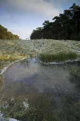 Vimy Ridge Canadian National Memorial