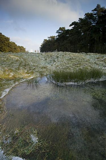 Vimy Ridge Canadian National Memorial