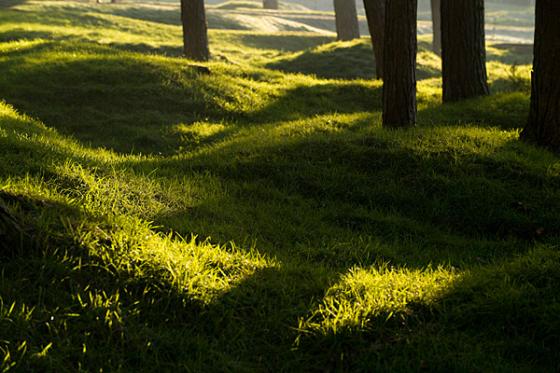 Vimy Ridge Canadian National Memorial