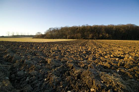 Somme - Mametz Wood