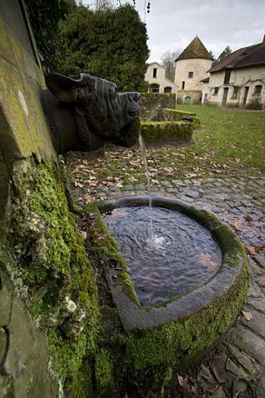 Bulldog Fountain