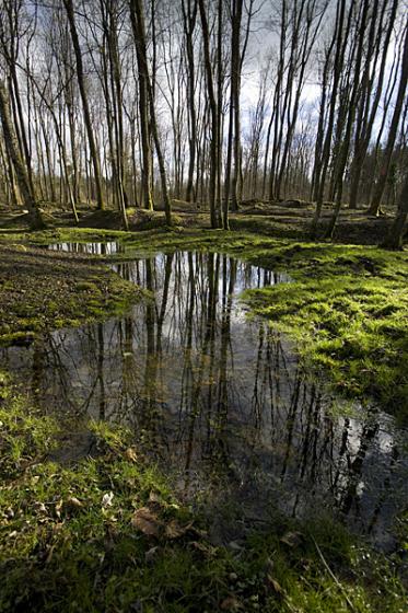 Verdun - Bezonvaux