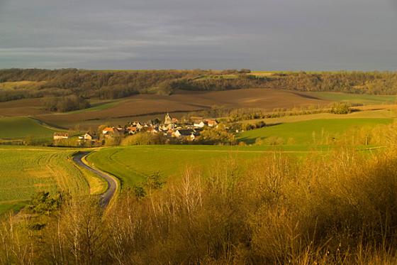 Chemin des Dames