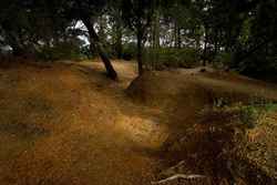 Trenches near Lone Pine