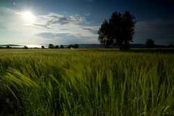 Scimitar Hill - Suvla Bay