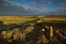 PICARDY - Cambrai, Hindenburg Line & the Somme,