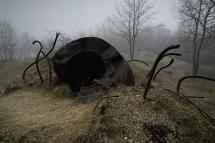 VERDUN 1916: The treadmill of death for French and Germans.